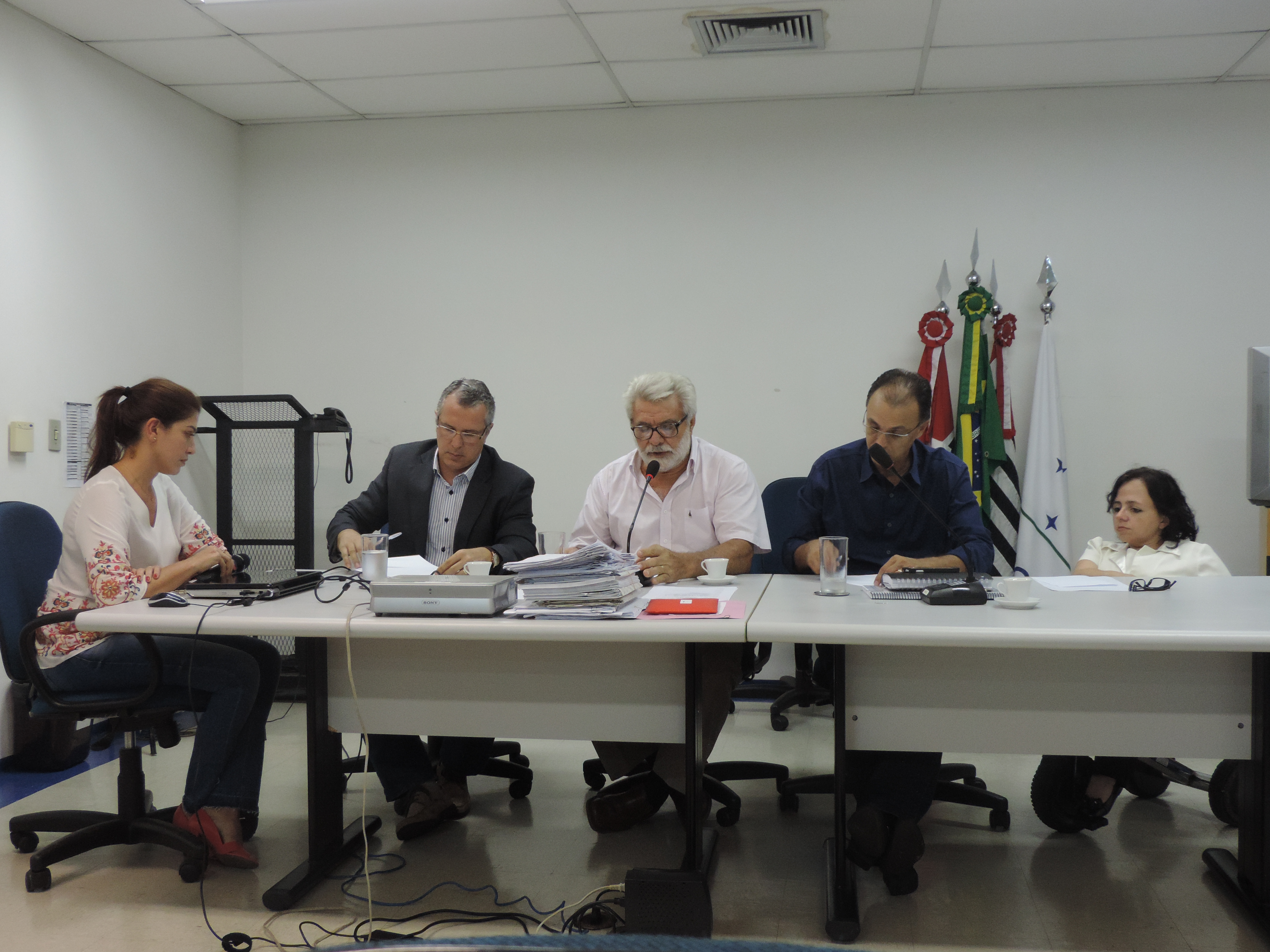Diretora técnica da Emcop foi a primeira a ser ouvida pela CEV